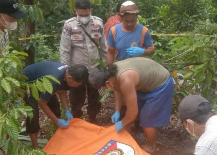 Kakek di Lubuk Linggau Ditemukan Tak Bernyawa di Kebun Kopi, Polisi Ungkap Kronologis dan Penyebab Kematian