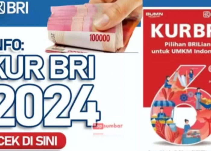 KUR BRI, Jadi Pahlawan Permodalan UMKM, Begini Cara Mengajukan