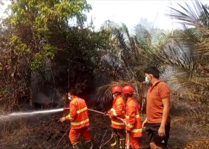 Hujan 2 Hari Berturut di Muratara, Laporan Karhutla Nihil, BPBD Tetap Siaga