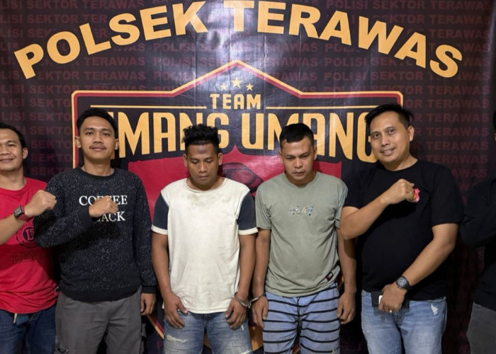Aksi Pencurian Kambing di Terawas Musi Rawas Terekam CCTV, Pelaku Bawa Parang dan Mobil Calya
