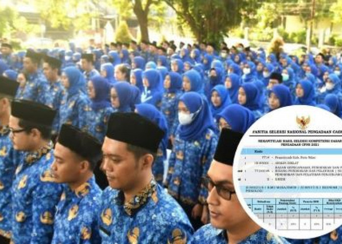 CPNS 2024 Pagar Alam, Ini Rincian Formasi Tenaga Kesehatan, Kualifikasi Pendidikan dan Kuotanya