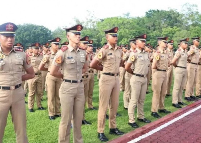 Daftar Sekolah Ikatan Dinas, Lulus Langsung Jadi CPNS