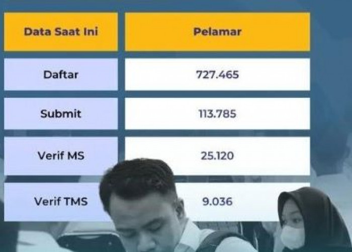 13 Penyebab 9.036 Pendaftar CPNS 2024 Gagal Administrasi, Simak Jangan Anggap Sepele!