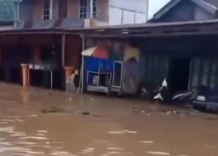 Selain di Muratara, Banjir Juga Merendam Ribuan Rumah di Lebong Bengkulu