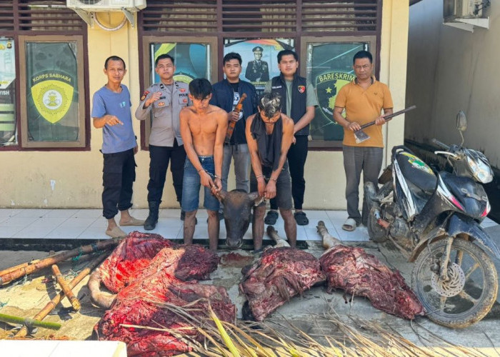 Sehari Jelang Idul Adha, Pencuri Hewan Ternak Beraksi, Diringkus Saat Sembelih Sapi di Muara Lakitan  