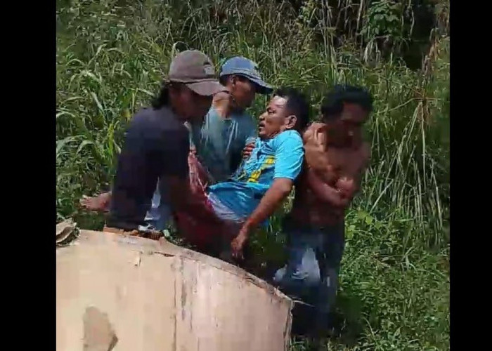 Truk Box Paket JNT Tabrakan Vs Truk Box Ayam di Musi Rawas, Sopir Luka Parah