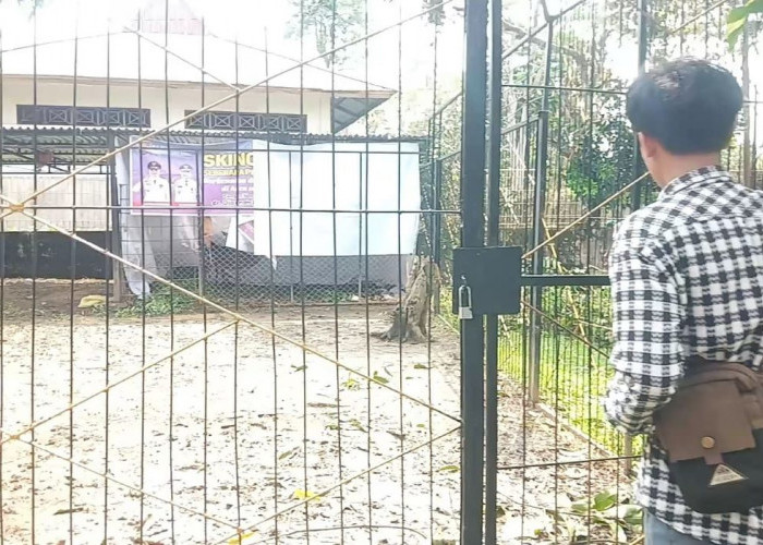 Hewan Buas Serang Rusa di Pendopoan Bupati Musi Rawas, BKSDA Sumatera Selatan Berikan Penjelasan
