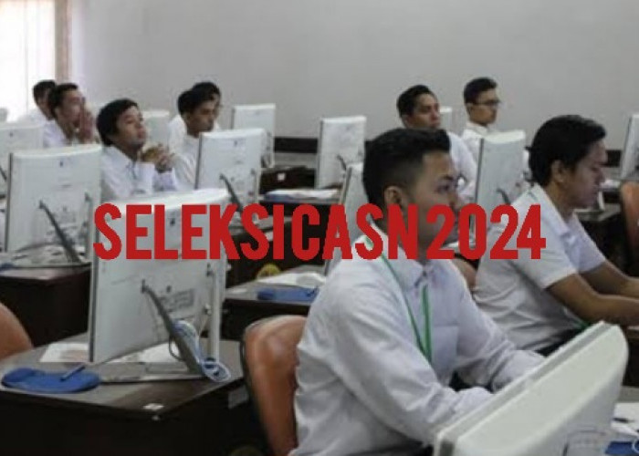 CASN 2024, Kota Payakumbuh Buka Rekrutmen CPNS dan PPPK, Segini Jumlah Kuotanya