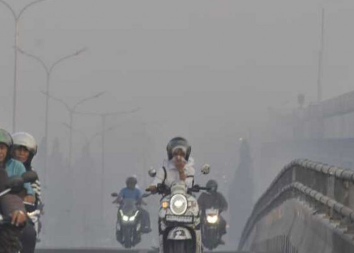 Kabut Asap Semakin Tebal, Palembang Juara Pertama Polusi Udara, Pelajar Diminta Sekolah Daring