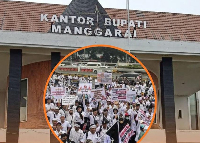 Demo Minta Kenaikan Gaji, 249 Nakes di Manggarai Dipecat Bupati, Begini Kronologinya