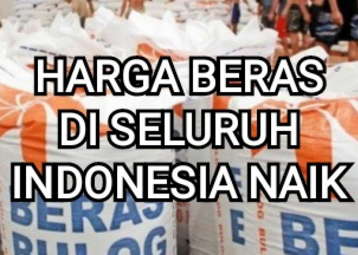 Hari ini Harga Beras di Seluruh Indonesia Terus Mengalami Kenaikan, Berikut Daftar Harganya