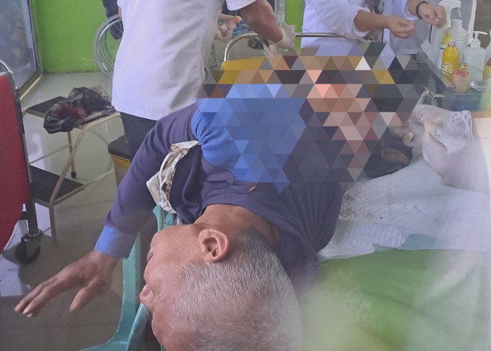 Diserang Beruang Saat Semprot Rumput, Warga Air Beliti Musi Rawas Luka di Punggung 
