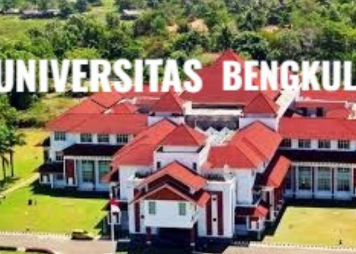 Daya Tampung Universitas Bengkulu untuk UTBK SNBT 2025, Prodi Hukum Paling Banyak