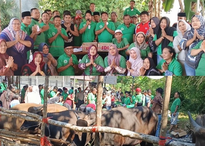 Semangat Berbagi, KPKB Lubuk Linggau Kurban 6 Sapi Rayakan Idul Adha 2026 untuk Sesama
