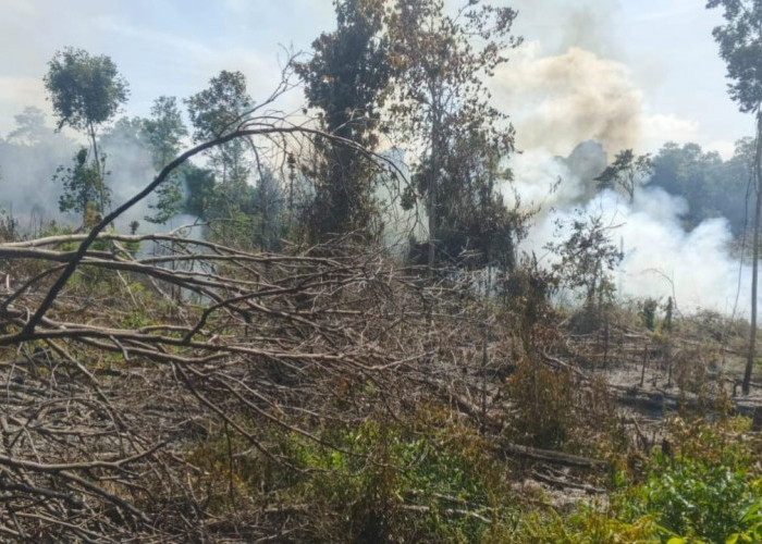 Kemarau Buka Lahan Dengan Cara Dibakar, Warga BTS Ulu Musi Rawas Diamankan Polisi
