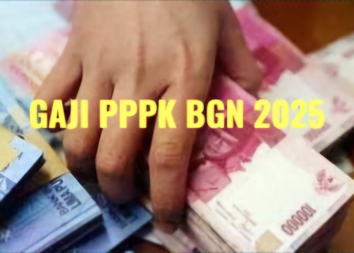 Segini Nominal Gaji PPPK BGN 2025, Buruan Cek Besarannya 