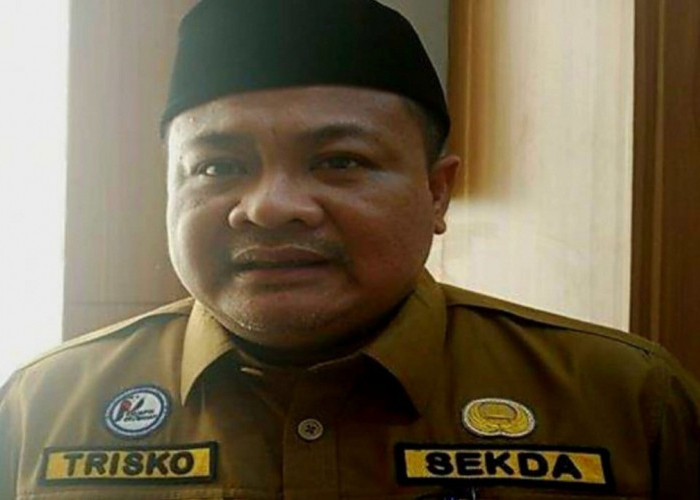 Sekda Lubuk Linggau Jadi Plh Wali Kota, Pj 4 Daerah di Sumatera Selatan Tunggu SK Mendagri