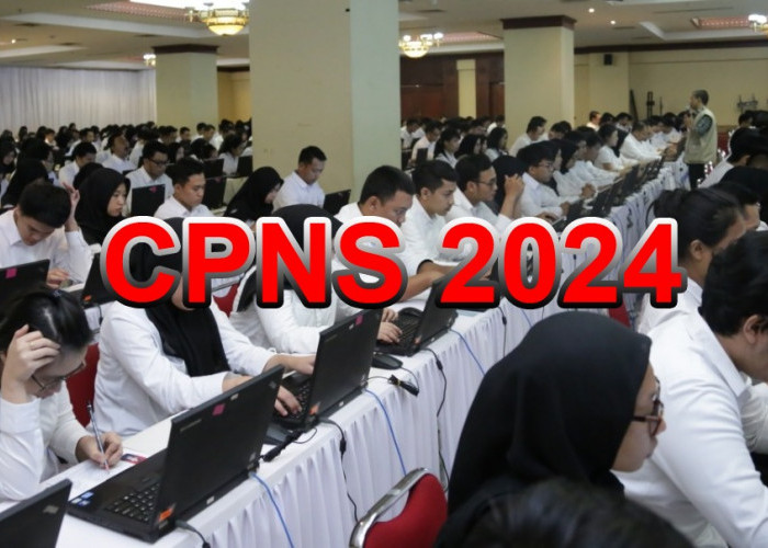 Pejuang CASN 2024 Merapat, 5 Fakta Terbaru Tentang Rekrutmen CPNS dan PPPK  yang Wajib Kamu Ketahui