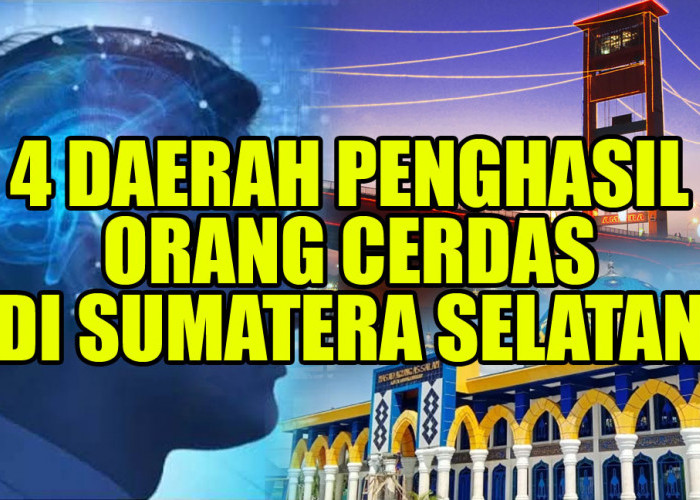 Ketahui! ini 4 Daerah Penghasil Orang Cerdas di Sumatera Selatan, Lubuklinggau Urutan Berapa?