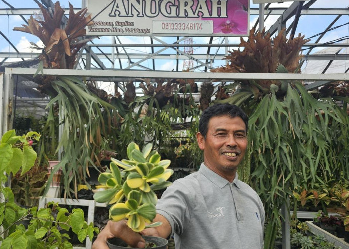 Sukses Jadi Mata Pencaharian Warga Sekitar, Ini Kisah Klaster Usaha Tanaman Hias Binaan BRI