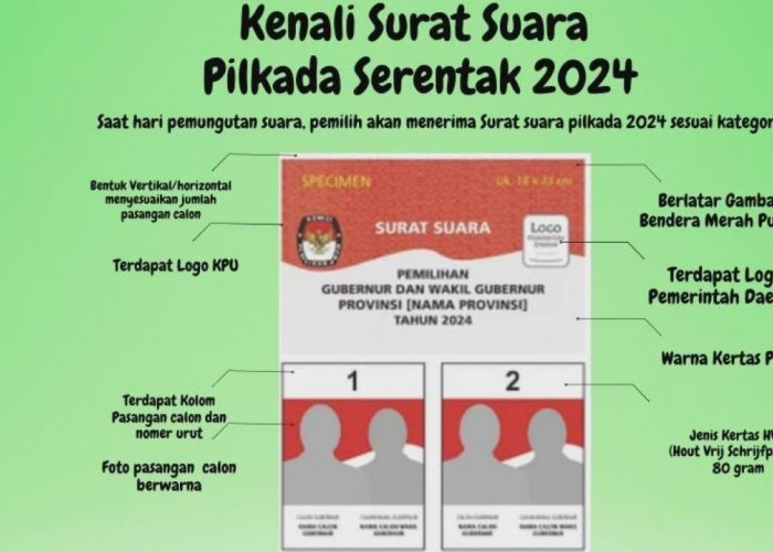 Jangan Keliru, Begini Arti Warna Surat Suara Pilkada 2024, Yuk Kita Teliti!