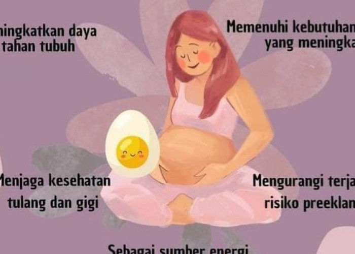 Inilah 7 Manfaat Telur Rebus untuk Ibu Hamil,  Nomor 1 Penting Buat Janin