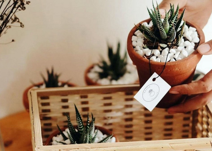 Inilah 7 Ide Hampers Lebaran 2026 yang Unik dan Berkesan untuk Lebaran 2026, Setelah Jalani Bulan Ramadan