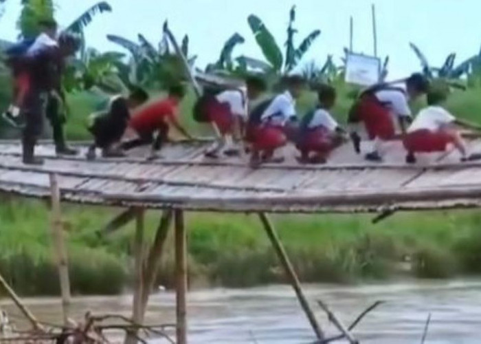 Luar Biasa, Demi Berangkat Sekolah Anak SD di Cilacap Nekat Merangkak Melintasi Jembatan Bambu Miring