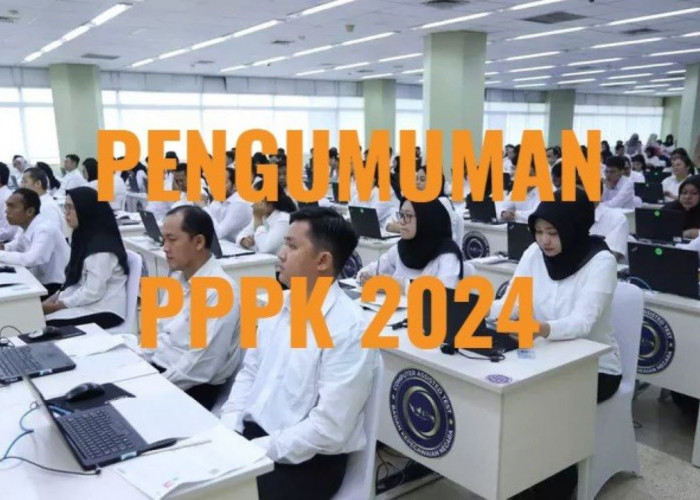 Pengumuman Kelulusan PPPK 2024, Pahami Arti Kode P, PR, L, TL, TMS, TH dan A, Jangan Keliru Ini Maksudnya