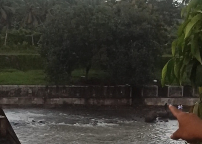 Berteduh di Pohon Bendungan Watervang, Mahasiswa Unpari Tewas Disambar Petir