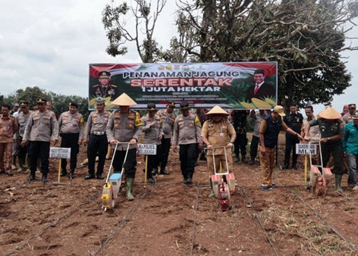 Polres Lubuk Linggau Bersama Pemkot Gelar Kegiatan Gerakan Penanaman 1 Juta Hektar Tanaman Jagung