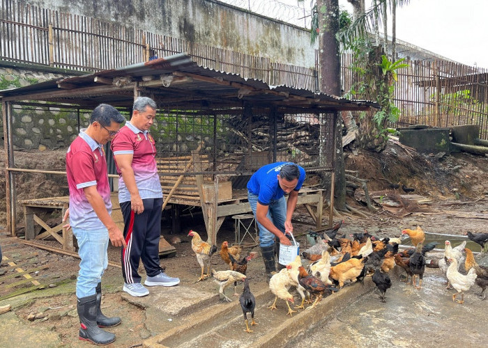 Wujudkan Ketahanan Pangan, Kalapas Lubuk Linggau Kontrol Sarana Asimilasi dan Edukasi