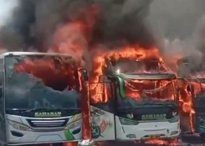 Mengerikan, 5 Unit Bus Ludes Terbakar di Garasi Cirebon, Berikut Faktanya