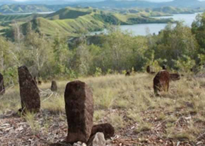 Keunikan Situs Megalitik Tutari, Berada di Atas Bukit, Berikut Asal Usul Namanya 