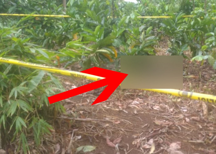 Warga Lubuk Linggau Ditemukan Tak Bernyawa di Kebun Kopi, 4 Hari Lalu Masih Ketemu Warga 