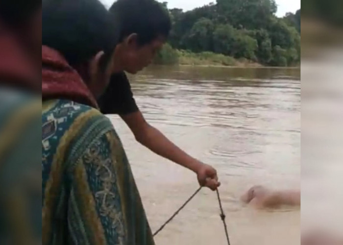Bulan Ramadan, Pemancing Temukan Mayat di Sungai Bingin Rupit Muratara, Polisi Ungkap Penyebab Kematian
