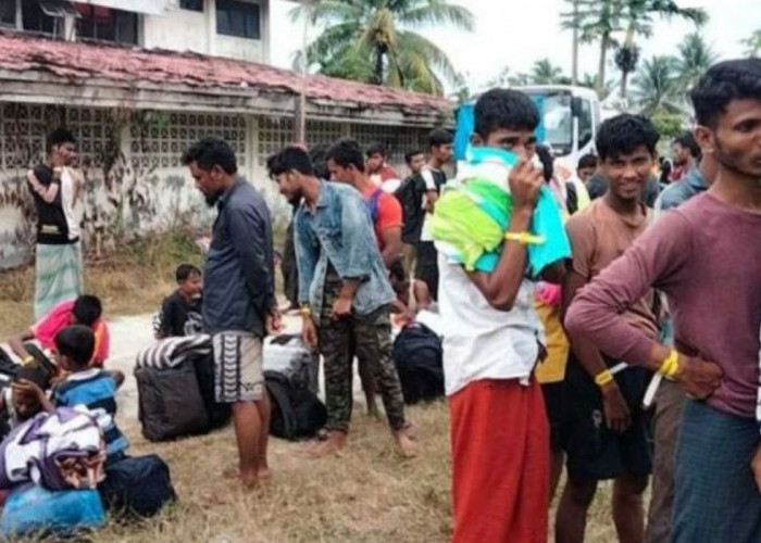 Peringatan dari UNHCR, Jutaan Imigran Rohingya akan Datangi Indonesia