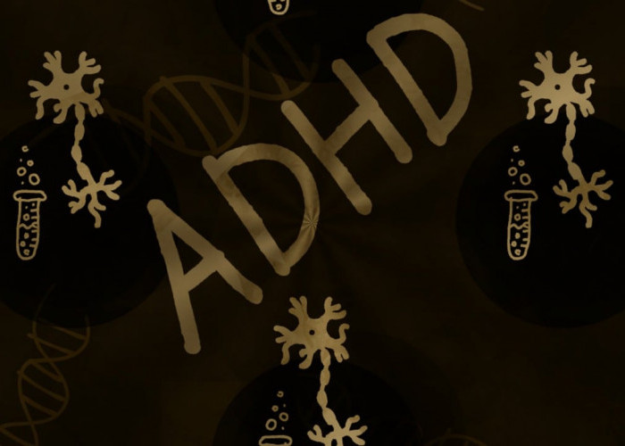  Kenali ADHD yang Berisiko pada Orang Dewasa, Gejala, Penyebab dan Pengobatannya