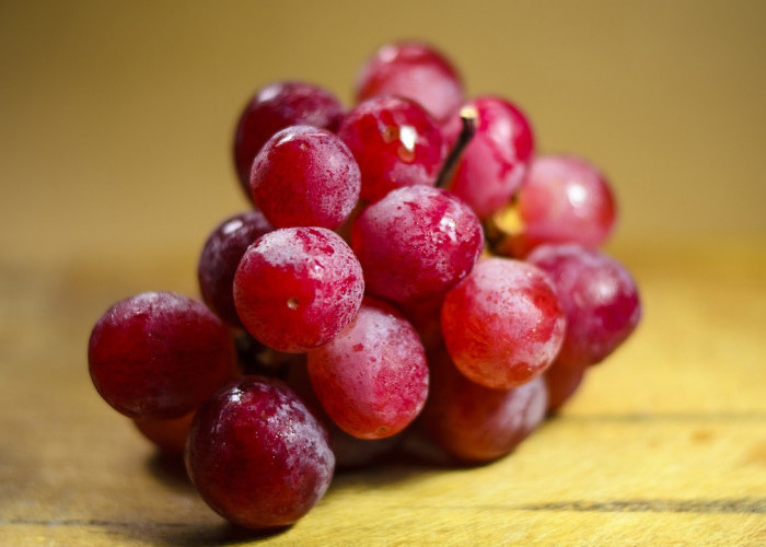 Anggur Memiliki Banyak Manfaat untuk Kesehatan, ini 5 Cara Budidayanya Agar Cepat Berbuah