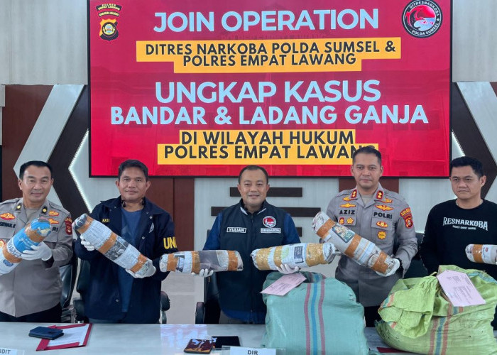 Pemilik 20 Hektar Ladang Ganja di Empat Lawang Pasok Produk Hingga Pulau Jawa