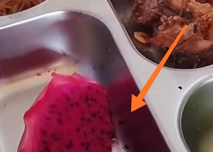 Kasus Keracunan Massal dan Temuan Ulat di MBG, BGN Sebut Dipicu SPPG Baru dan Pergantian Supplier