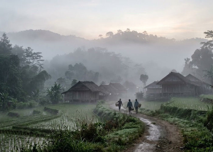 Kenali Perbedaan Kabut dan Embun, Jangan Sampai Keliru