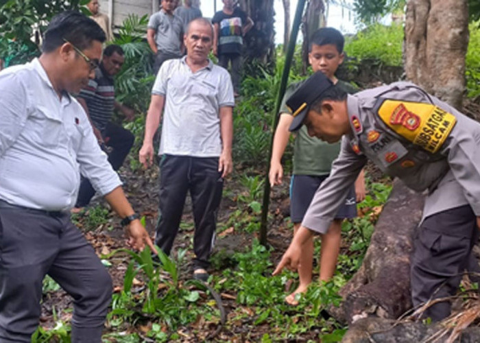 Kakek 72 Tahun di Musi Rawas Jatuh dari Pohon Duren, Saat Ditemukan Begini Kondisinya