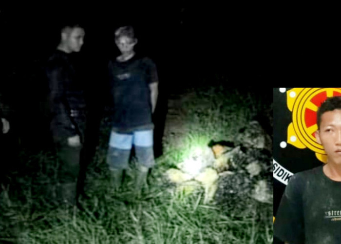 Tengah Malam 3 Orang Berbuat Dosa di Kebun Sawit PT AKL Musi Rawas, 1 Diamankan, 2 Kabur