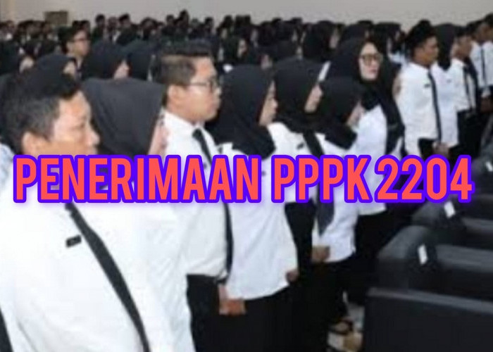 PPPK 2024 Tahap 2, Begini Penjelasan Terkait  Lulusan PPG yang Bisa Mendaftar