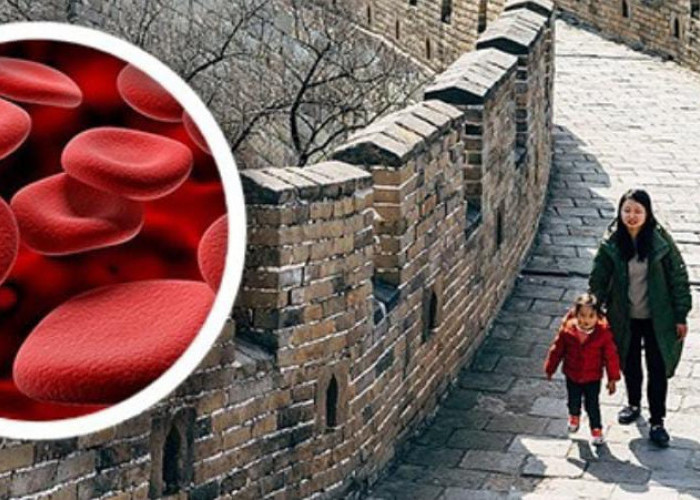 Golongan Darah Suptipe P, Pertama Kali di Dunia, Termasuk Langka Ditemukan di China 