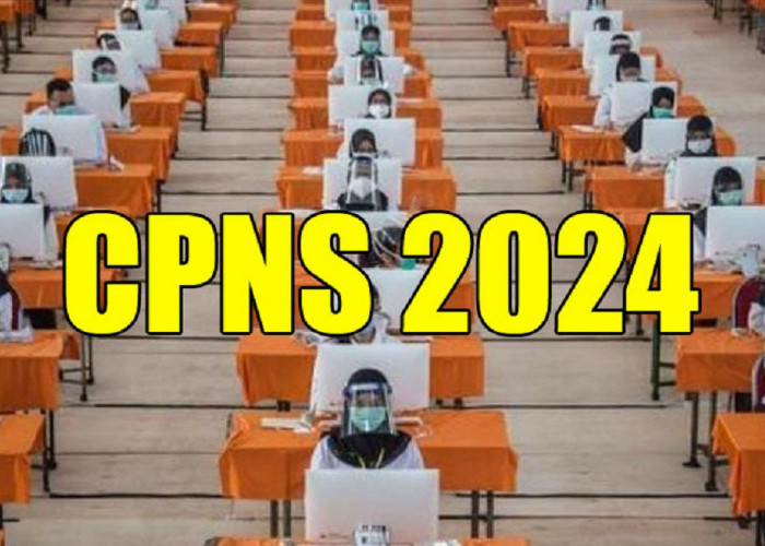 BKN Ungkap Data Terakhir Jumlah Pelamar CPNS 2024 Semua Instansi, Banyak yang TMS, Ini Statistiknya 