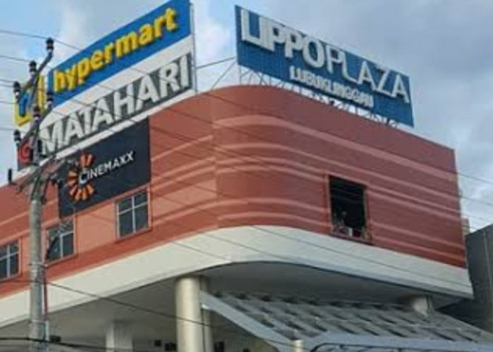 Lippo Plaza Lubuk Linggau Buka Lowongan Kerja, Untuk 2 Orang, Ini Syaratnya 
