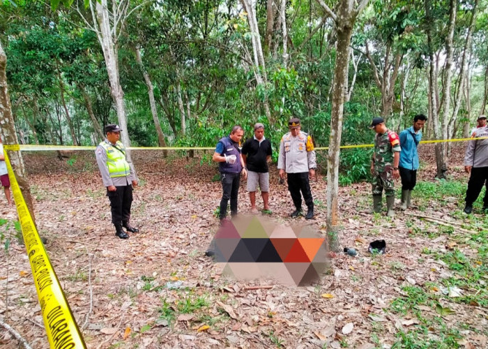 Pencuri Jengkol di Mura Tewas Dikeroyok, 2 Pelaku Luka-luka 