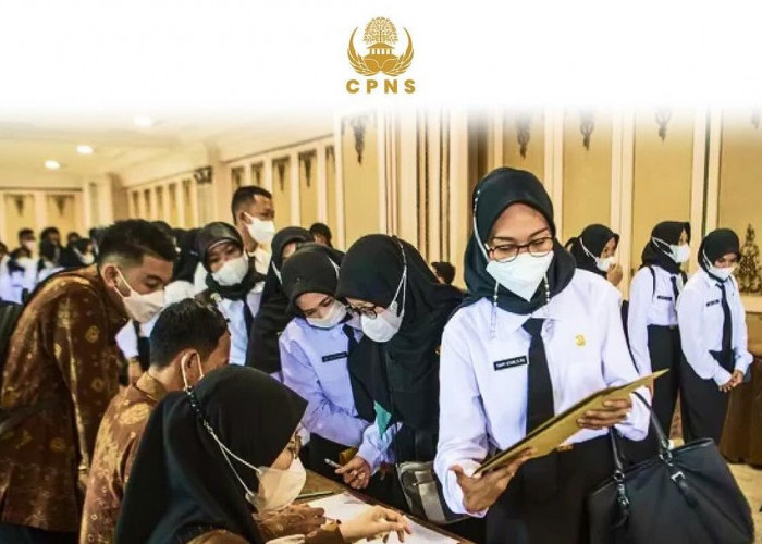 Lulusan SMA Sederajat Bisa Daftar CPNS 2024, Simak Begini Panduan Lengkap Cara Daftarnya 